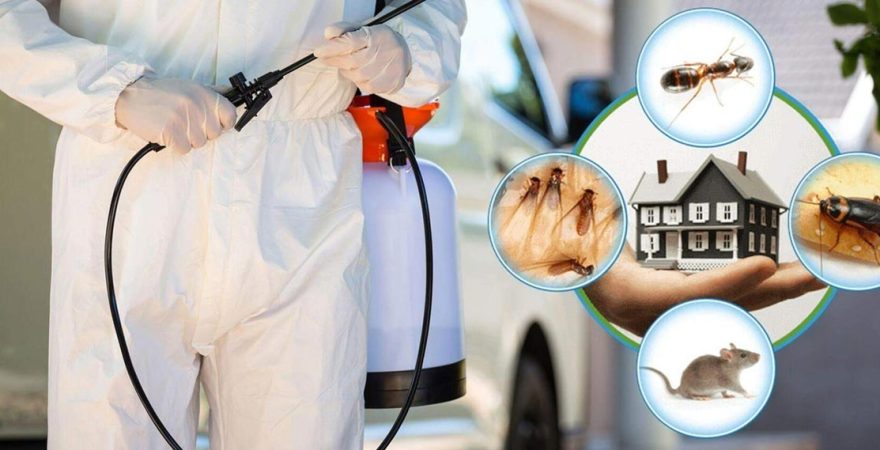 Karahallı Böcek İlaçlama