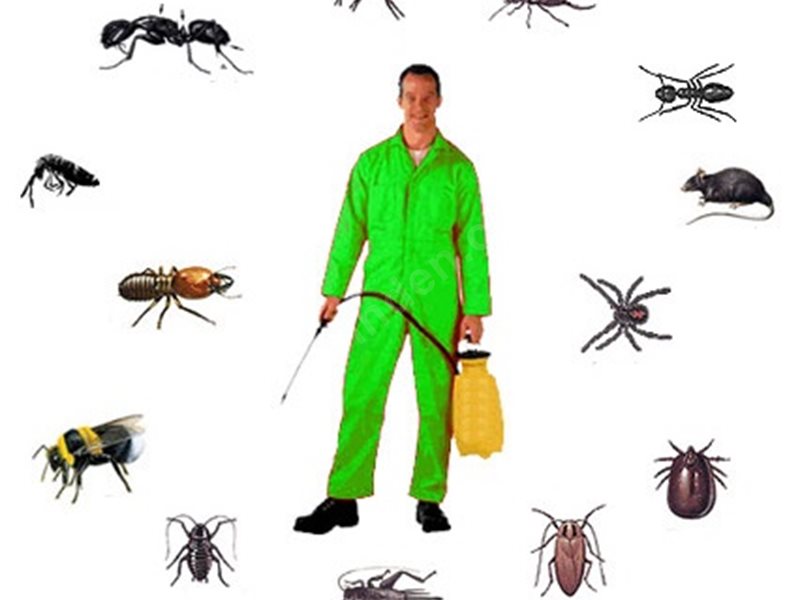 Karahallı Böcek İlaçlama